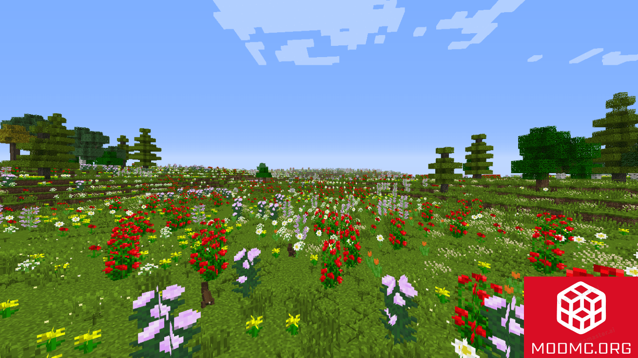 Красочные Луга