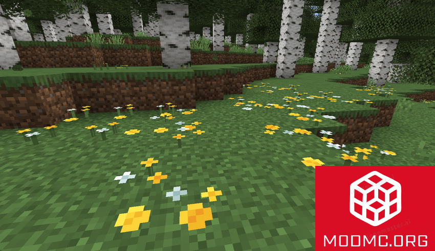 Полевые цветы