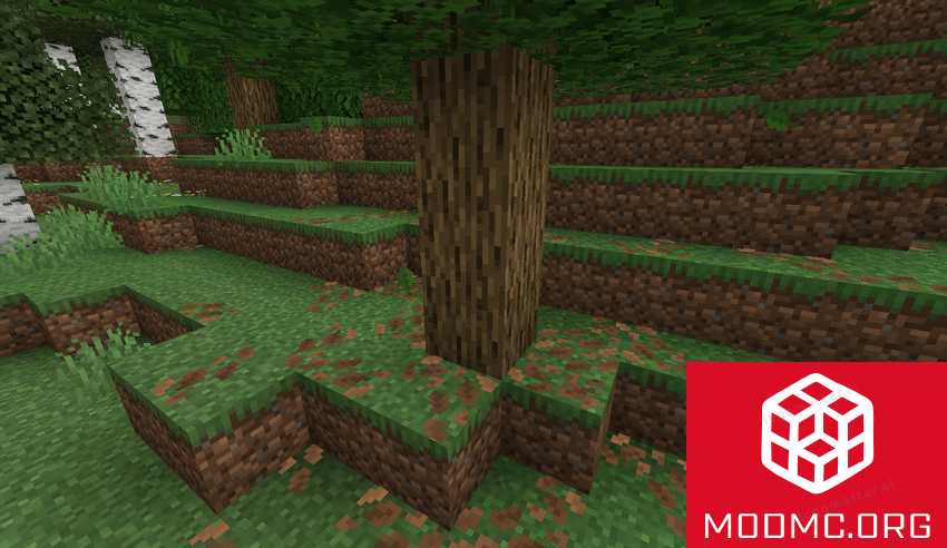 Сухие листья