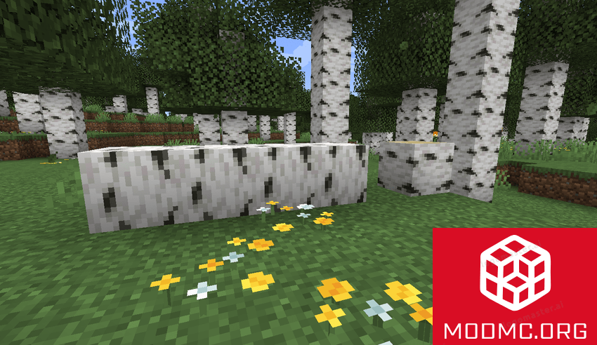 Упавшее дерево