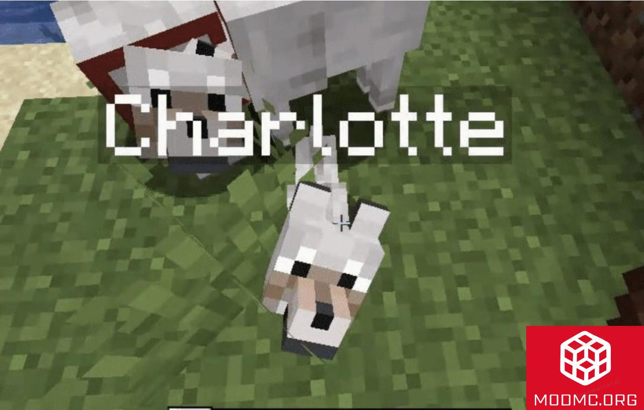 Моб из Мода на Имена в Майнкрафт