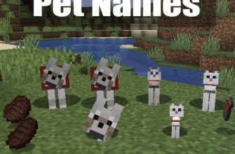 Скачать Мод на Имена в Майнкрафт