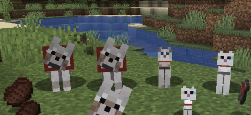 Скачать Мод на Имена в Майнкрафт