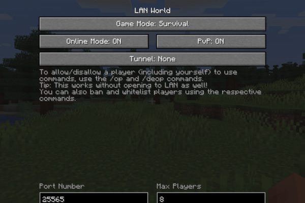 Скачать Lan-Сервер в Майнкрафт