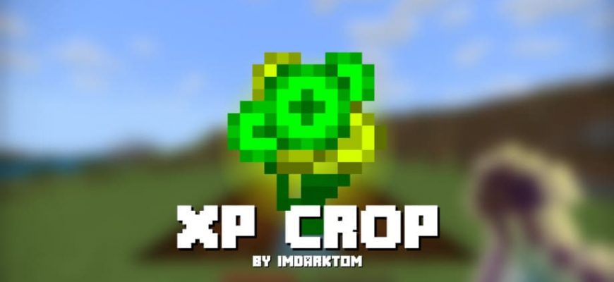 Скачать Мод на Experience в Майнкрафт