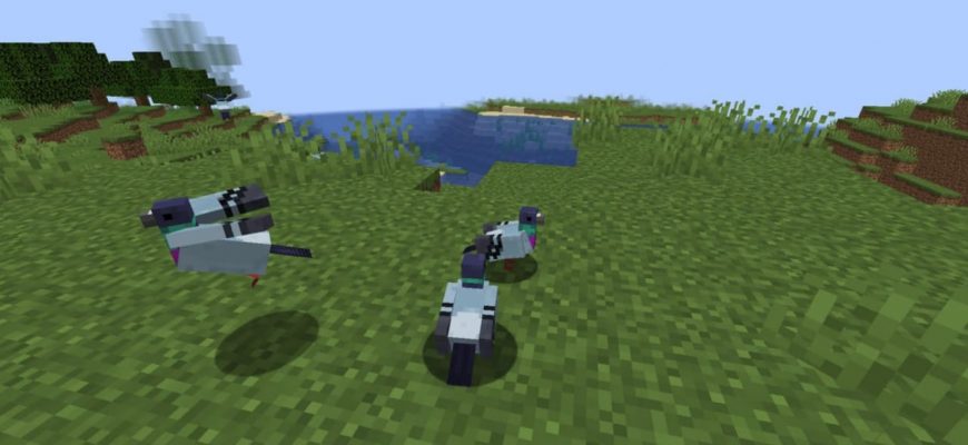 Скачать Мод на Голубей в Майнкрафт