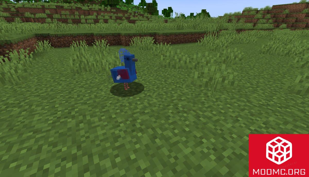 Голубь из Мода Pigeons в Майнкрафт