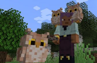Скачать Мод на Сову в Майнкрафт