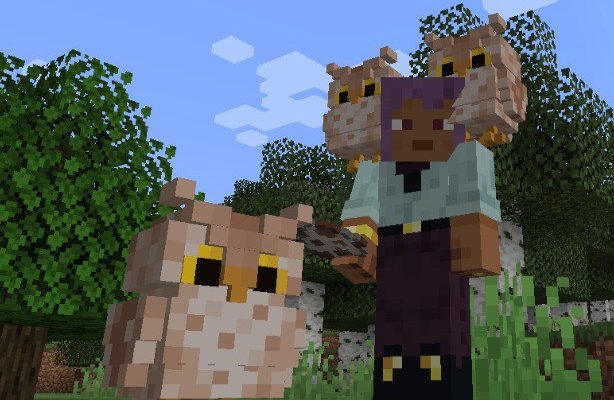 Скачать Мод на Сову в Майнкрафт