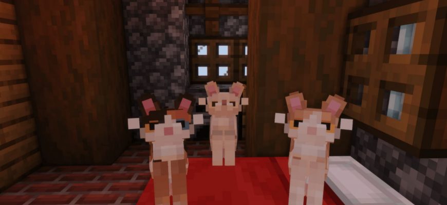 Скачать Мод на Котиков в Майнкрафт